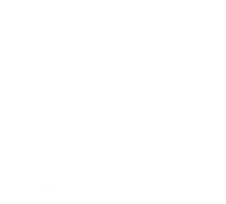 Logo Energy Field